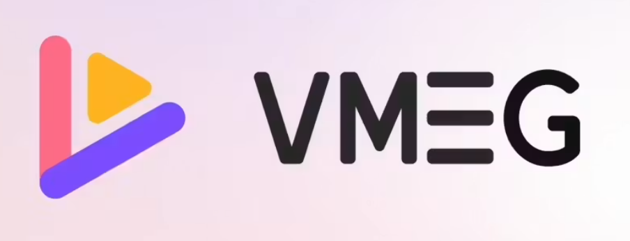 VMEG